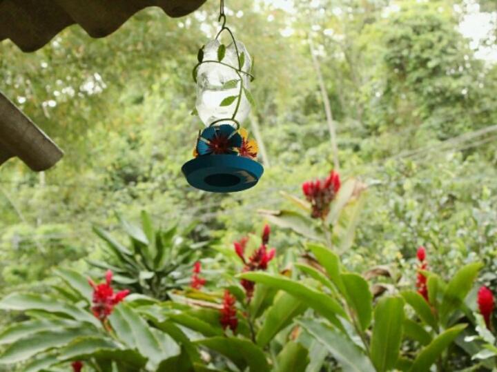 Suites Cocaia Ilhabela Buitenkant foto