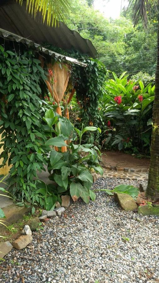 Suites Cocaia Ilhabela Buitenkant foto