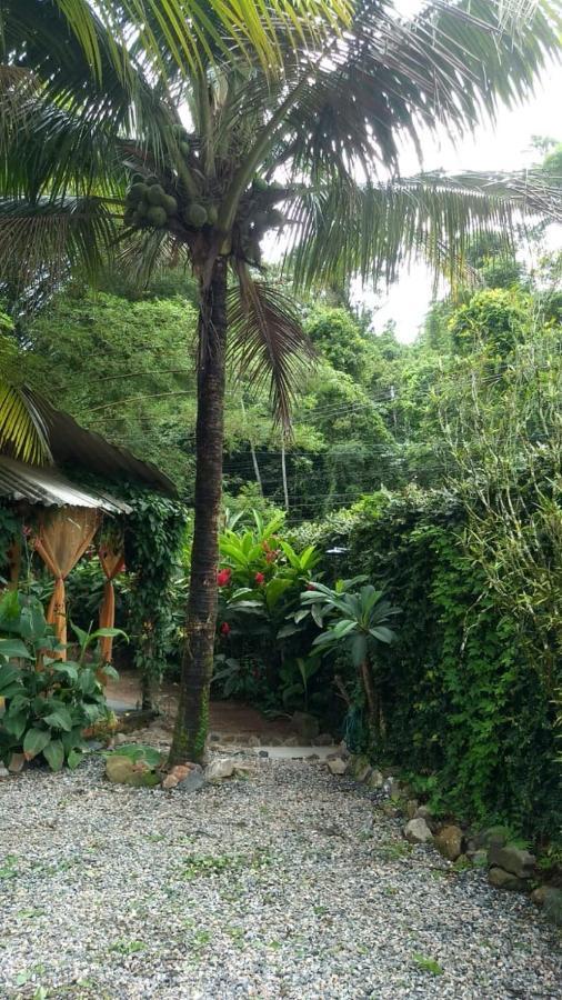 Suites Cocaia Ilhabela Buitenkant foto