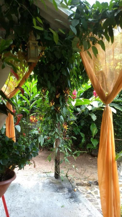 Suites Cocaia Ilhabela Buitenkant foto