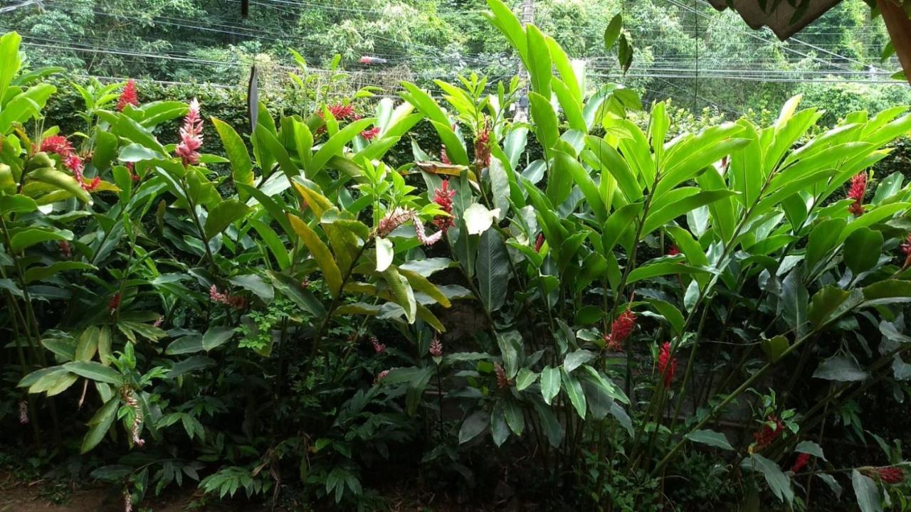 Suites Cocaia Ilhabela Buitenkant foto