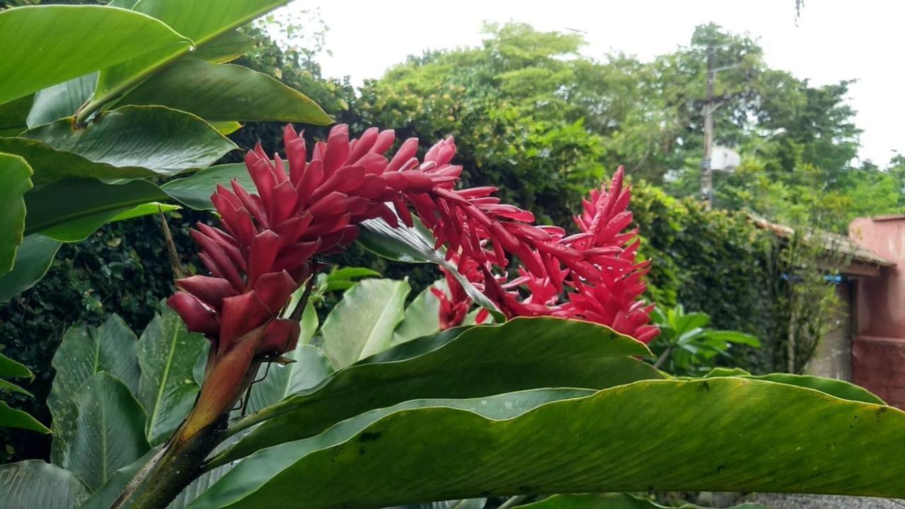 Suites Cocaia Ilhabela Buitenkant foto