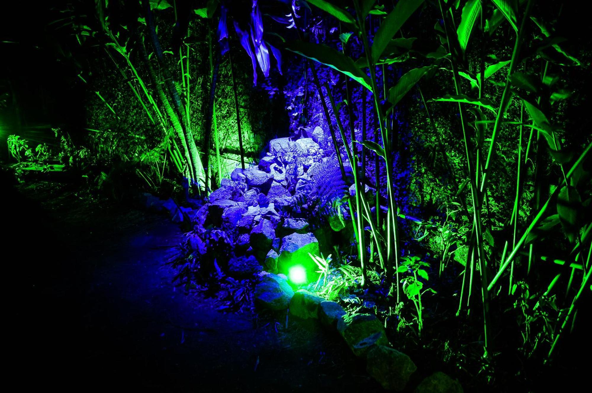 Suites Cocaia Ilhabela Buitenkant foto